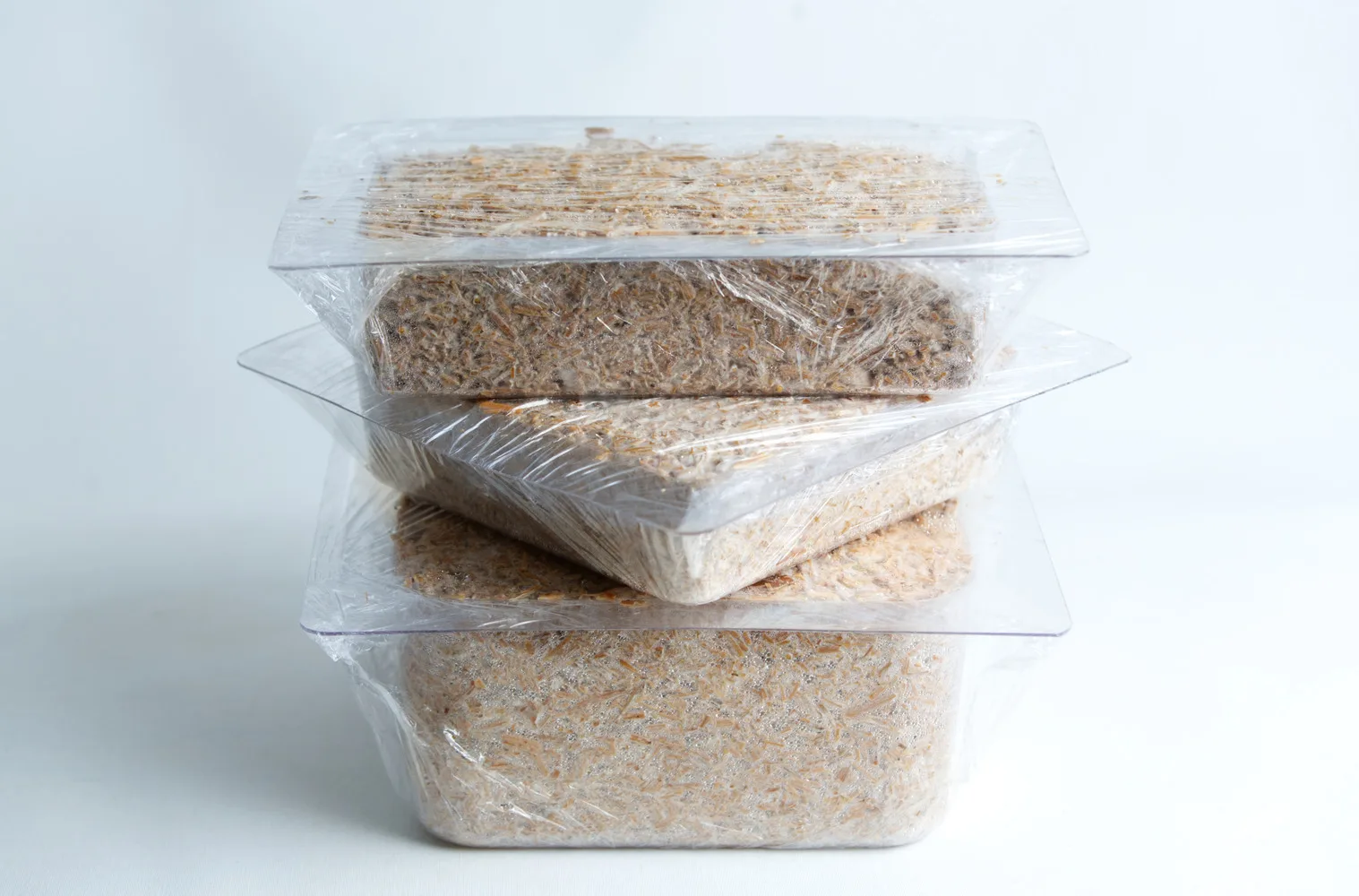 Three clear plastic containers stacked, each filled with a substrate and covered with cling film.