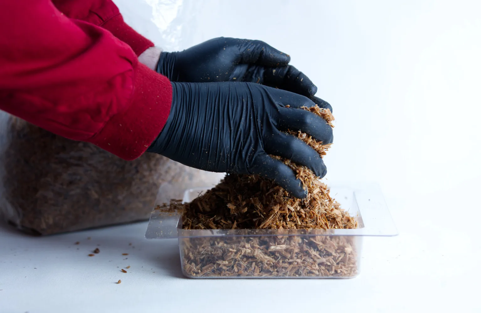 Person wearing black gloves handling wood shavings in a clear plastic container on a white surface.