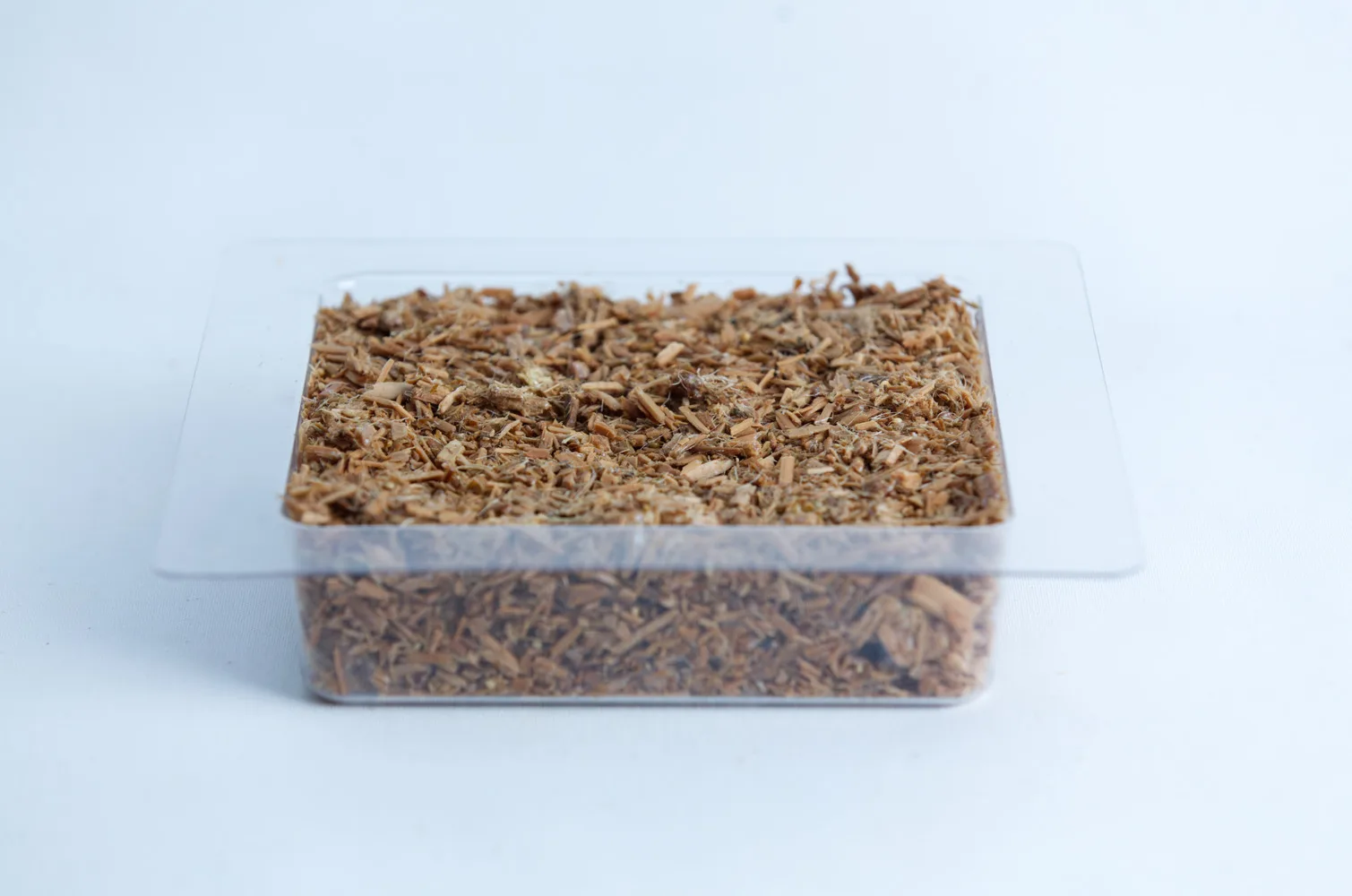 A clear plastic container filled with brown wood chips on a white background.