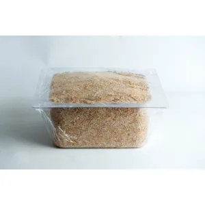 hemp hurd plant pot growth in mold 1527x1000