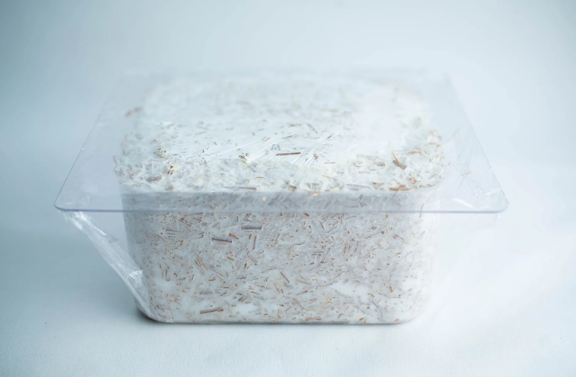 A clear plastic container filled with white mycelium growing on a substrate.