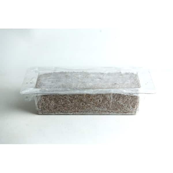 sawdust brick growth in mold