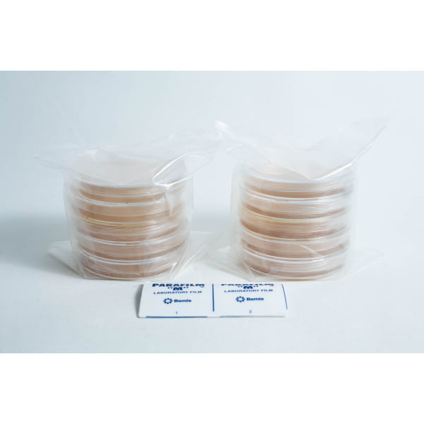 5 x MEAG and 5x MYPA Agar Plates Pre poured 90mm