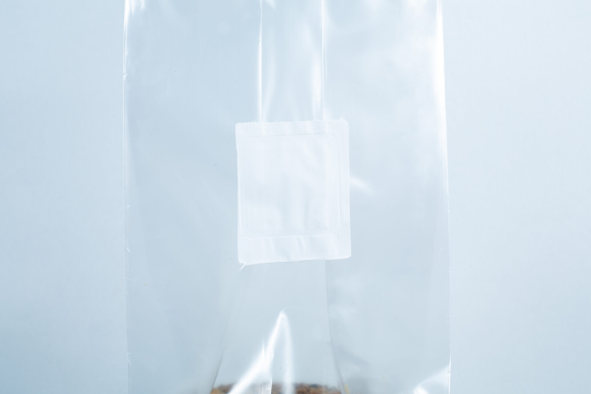 Mushroom Grain spawn Bag Pre Sterilised: Choose Rye, Millet or Sorghum (Milo) w/inj port and air filter 500gms 4 This pre-sterilised organic rye grain bag for mushroom cultivation features an injection port, air-filter, and a white label.