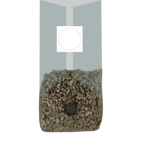 A transparent bag filled halfway with brown and tan sunflower seeds, with a circular white label.