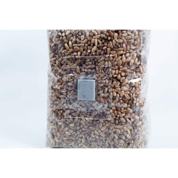 Inyection port unicorn bag Pre sterilised rye mushroom Rye Grain Bag 1Kg