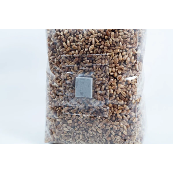 Inyection port unicorn bag Pre sterilised rye mushroom Rye Grain Bag 1Kg