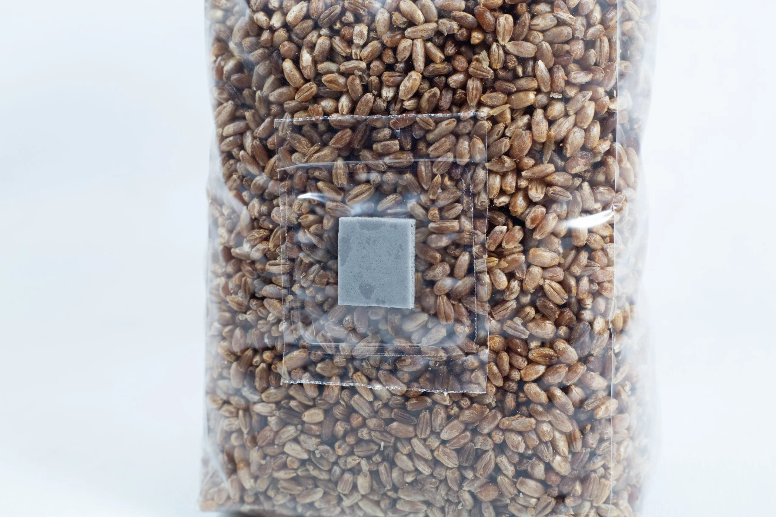 A clear plastic bag filled with pre-sterilised organic rye grain for mushroom cultivation, sealed with an injection port and air-filter patch.