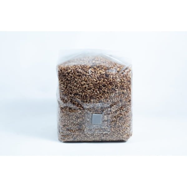Inyection port unicorn bag Pre sterilised rye mushroom Rye Grain Bag 2Kg