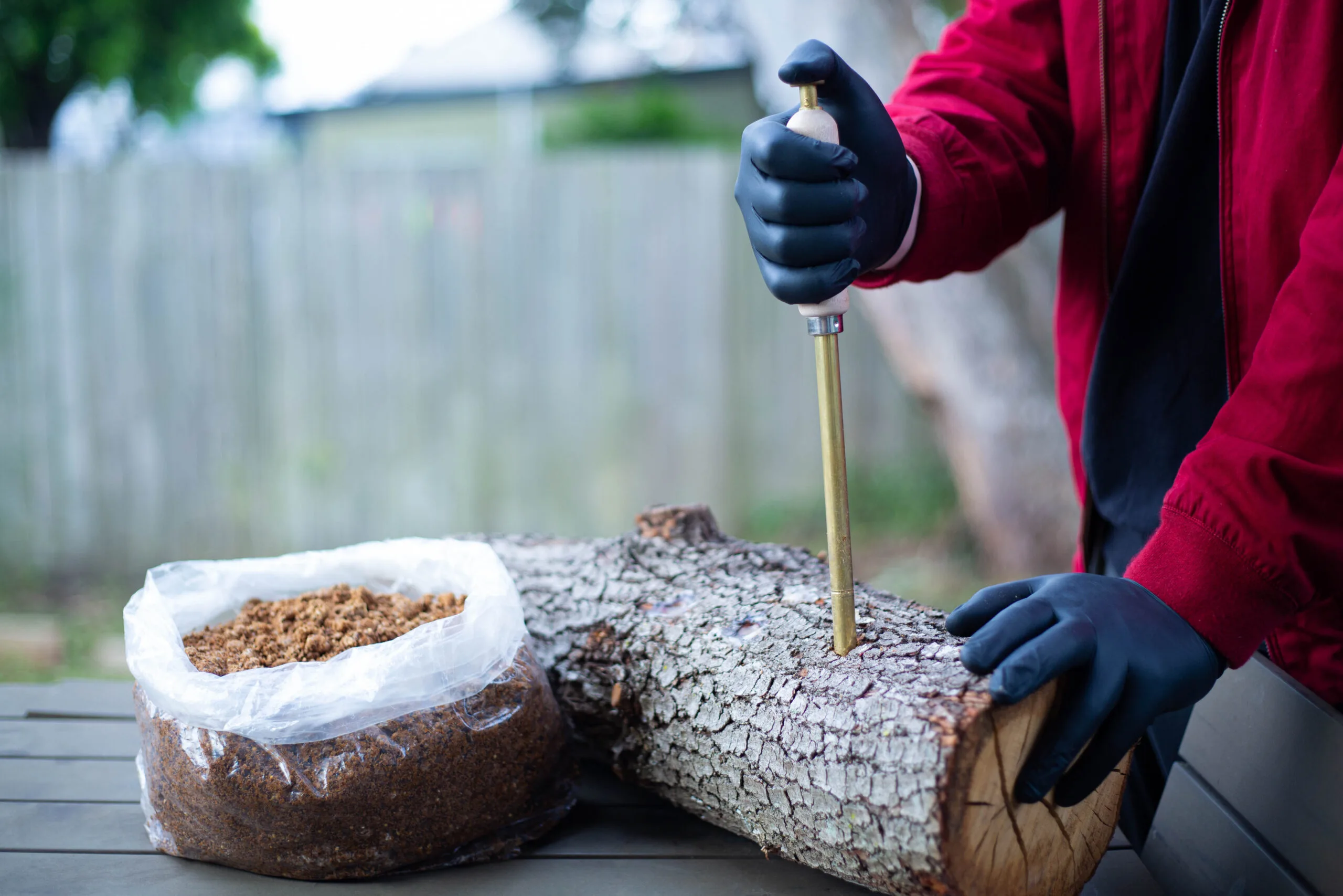 Sawdust Log Inoculation Tool for 12.5mm hole 5 Person in black gloves inserts a tool into a log next to a bag of substrate on an outdoor table.