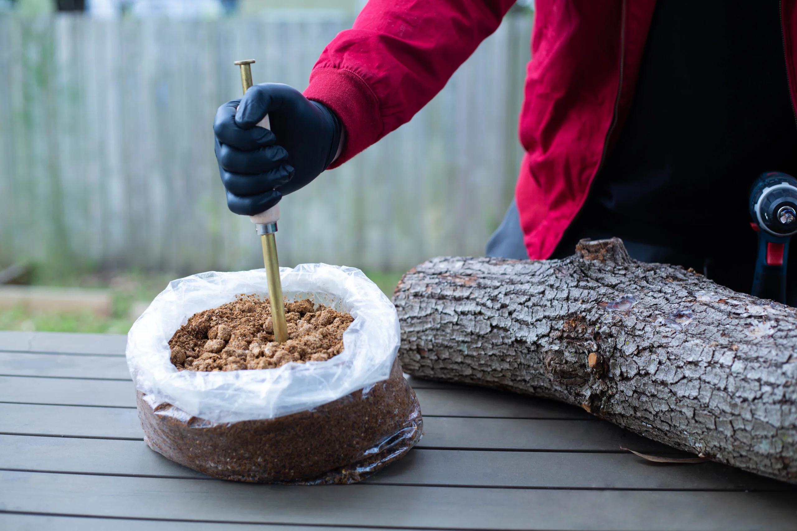 Sawdust Log Inoculation Tool for 12.5mm hole 4 Person in gloves inserting a tool into a bag of substrate beside a tree log on a table outdoors.