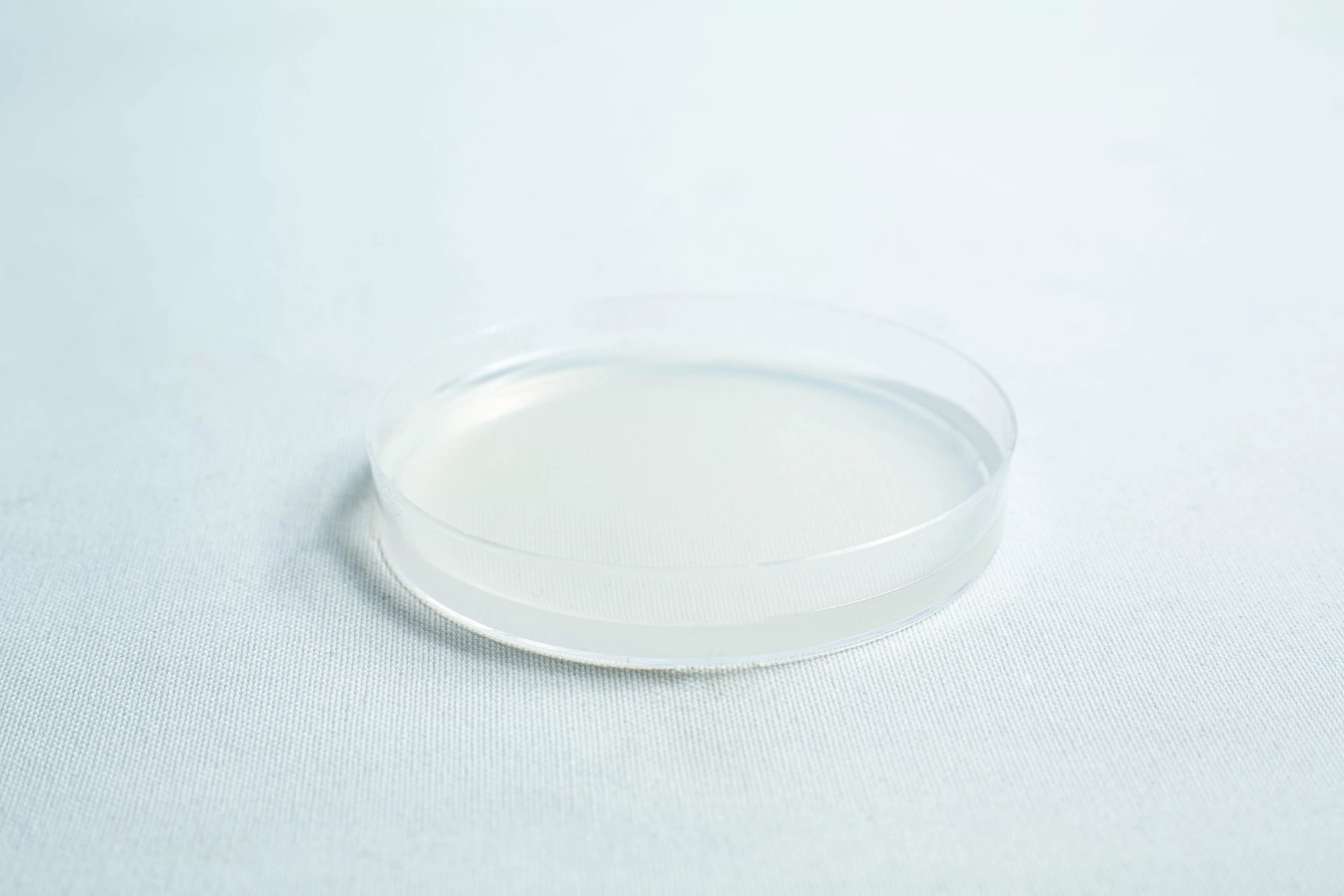 Sterile Water Agar Petri Dishes (WA) x10 with Parafilm 4 A clear, empty petri dish sits on a white surface under bright lighting.
