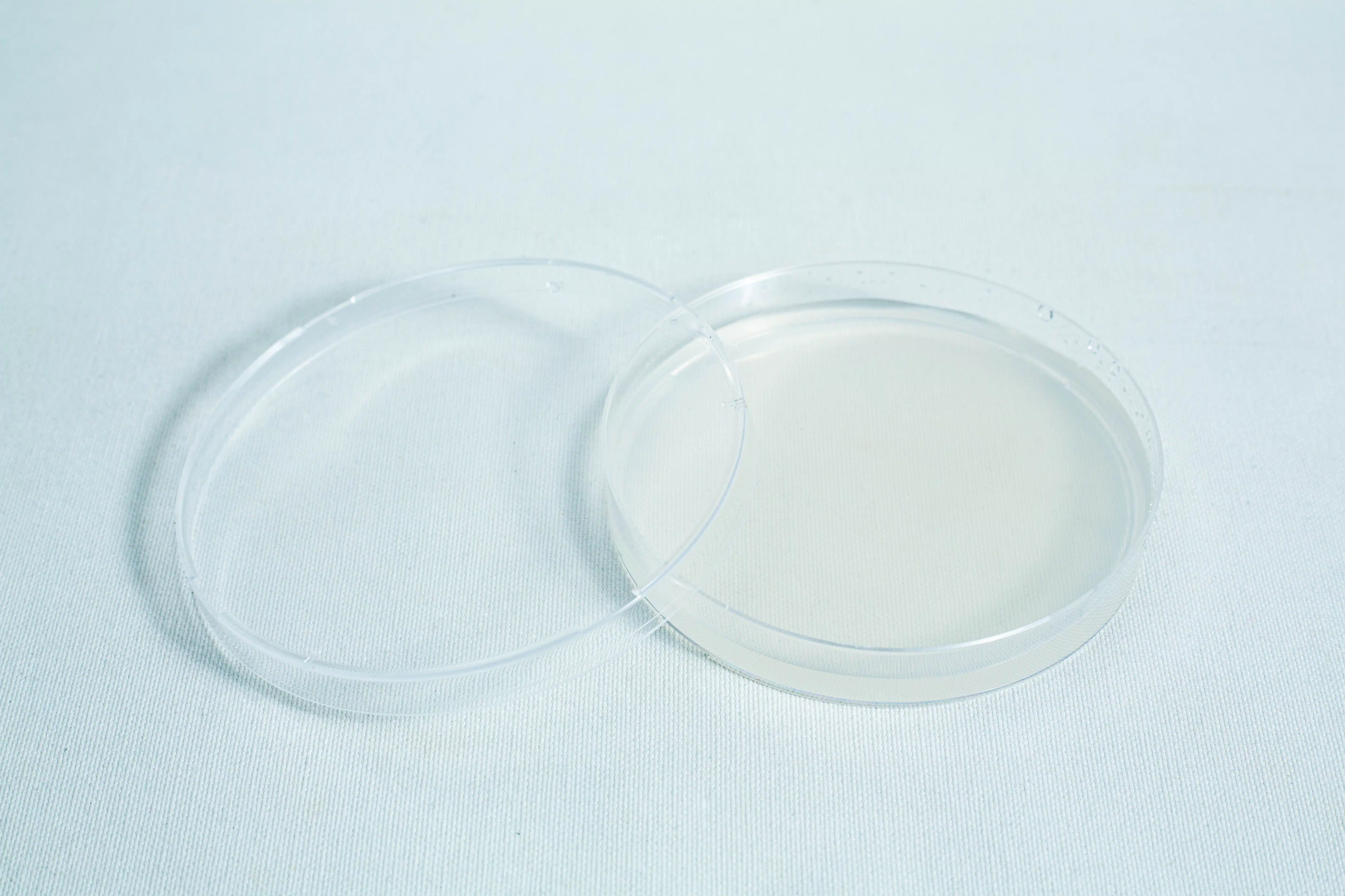 Sterile Water Agar Petri Dishes (WA) x10 with Parafilm 6 An empty, clear petri dish with its lid slightly open on a plain white background.