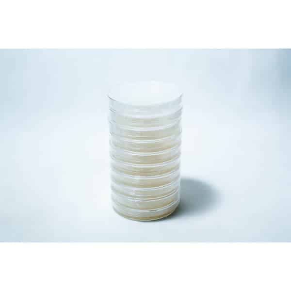 Water Agar Plates Pre poured 90mm Front view