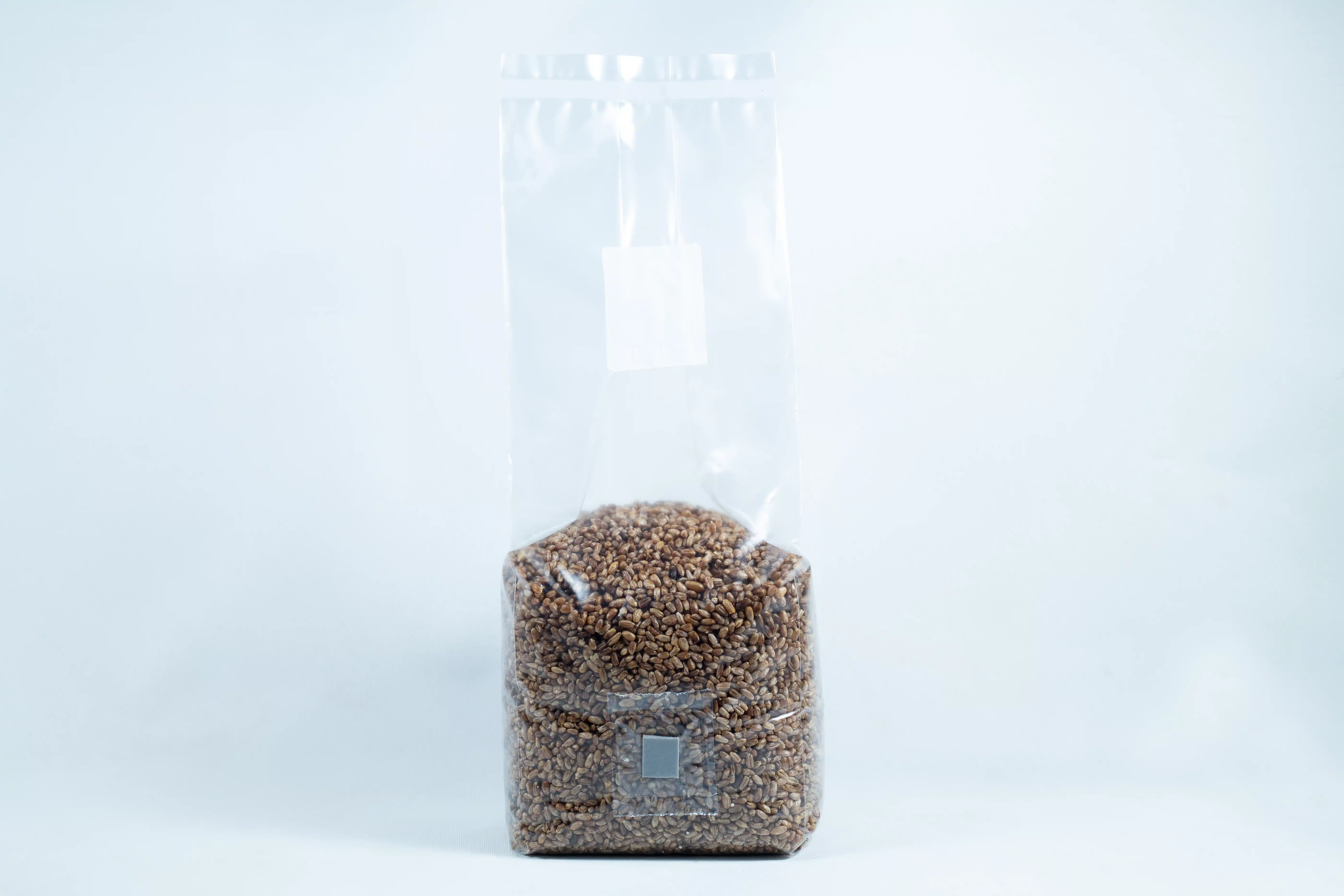 A clear plastic bag of rye grain organic pre-sterilised for mushroom cultivation with injection port and air filter against a plain white background.