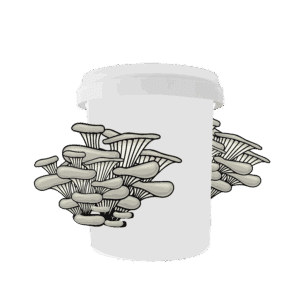 bucket with mushroom1 01