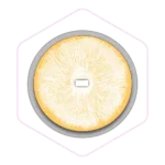 Top view of a circular orange and white fungus spore print on a white background, perfect for those sourcing mushroom farming supplies or enthusiasts shopping at Mushroom Supplies Australia.