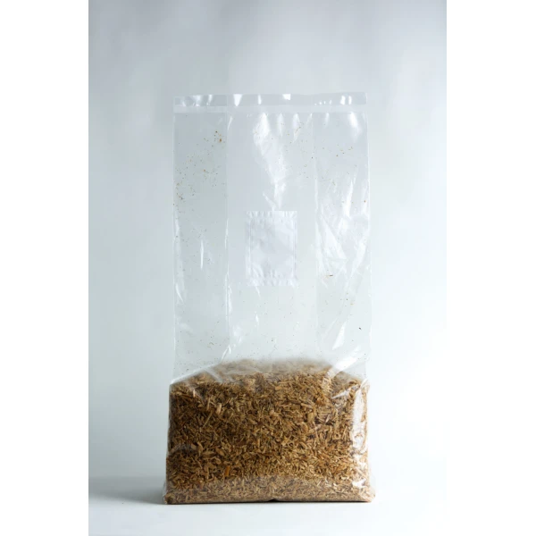 Hemhurd with spawn grain inside front view