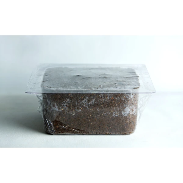 A rectangular container filled with soil, covered tightly with cling film.
