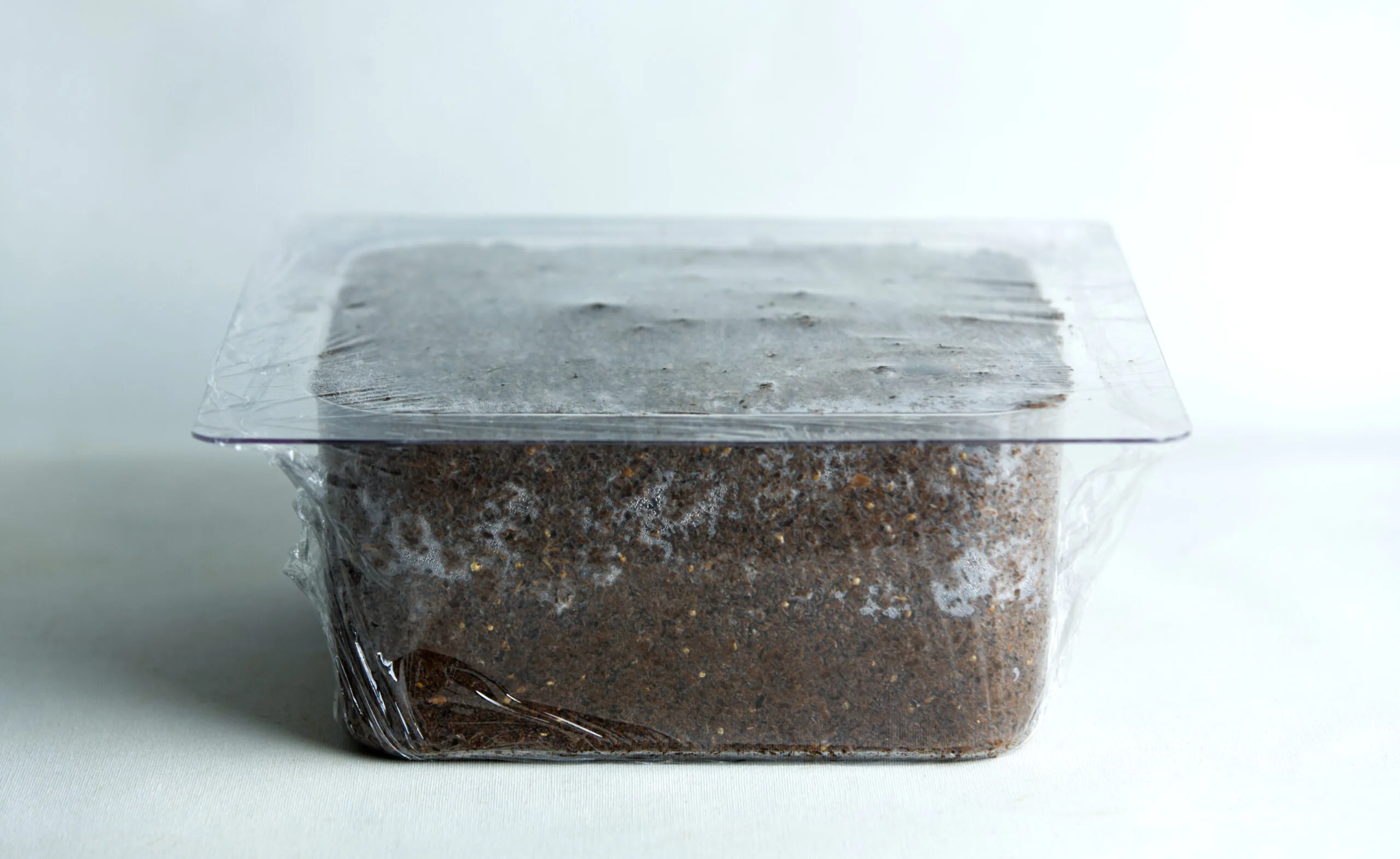 A rectangular container filled with soil, covered tightly with cling film.