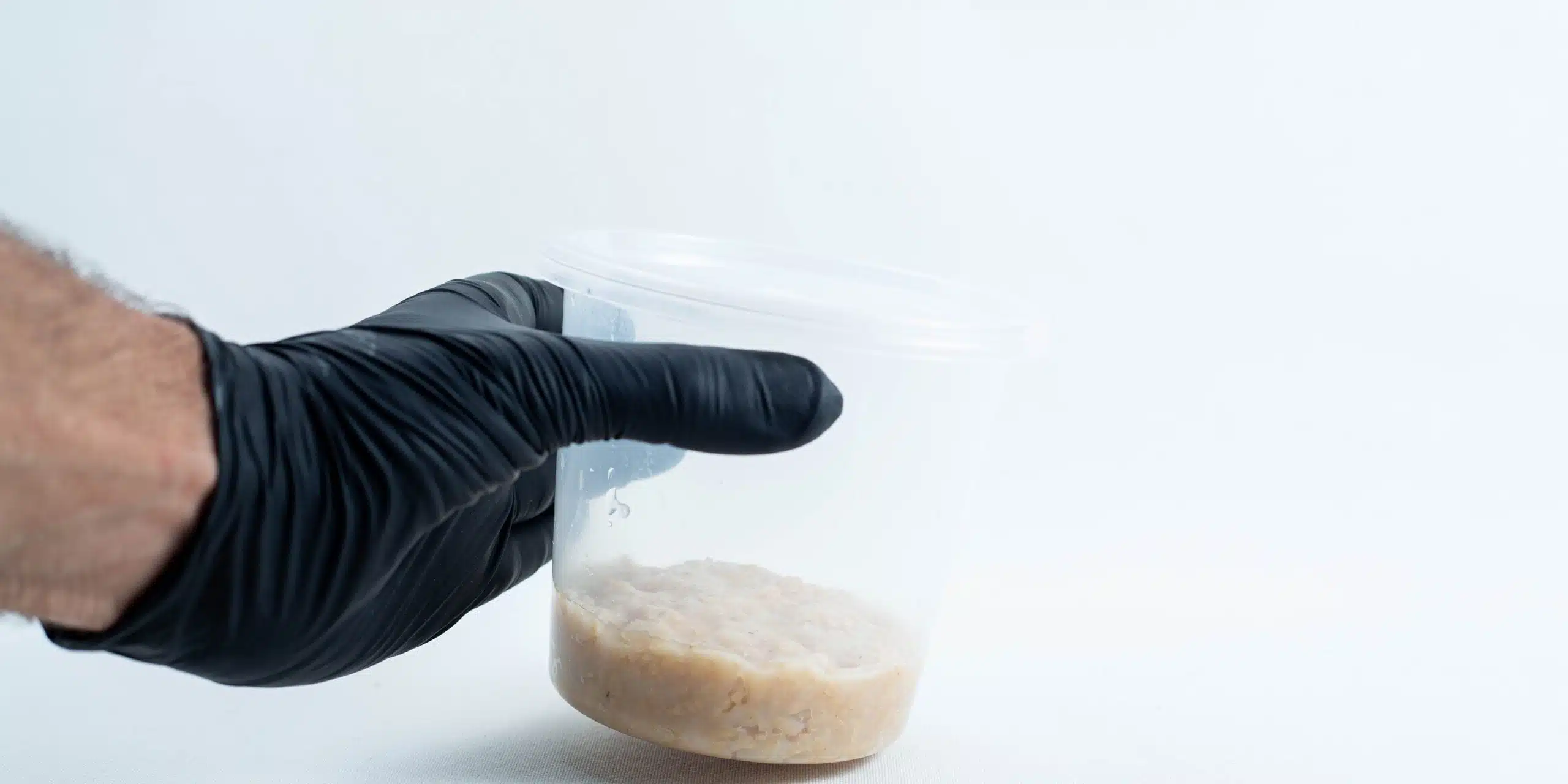 Cordyceps substrate in container edited scaled