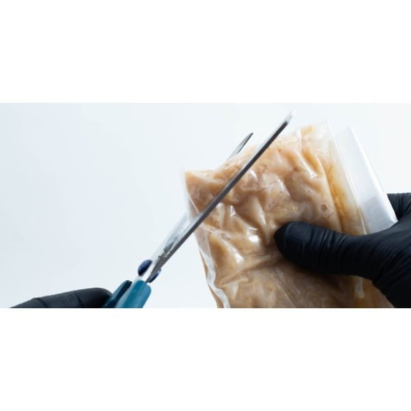 Cutting Codryceps Substrate bag