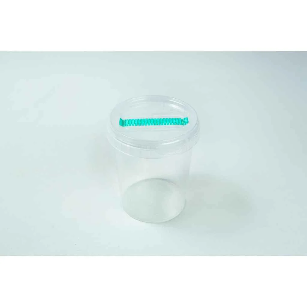 The Cordyceps militaris Mushroom Grow Kit is a clear plastic container with a transparent lid and a green object attached to the top for easy mushroom cultivation.
