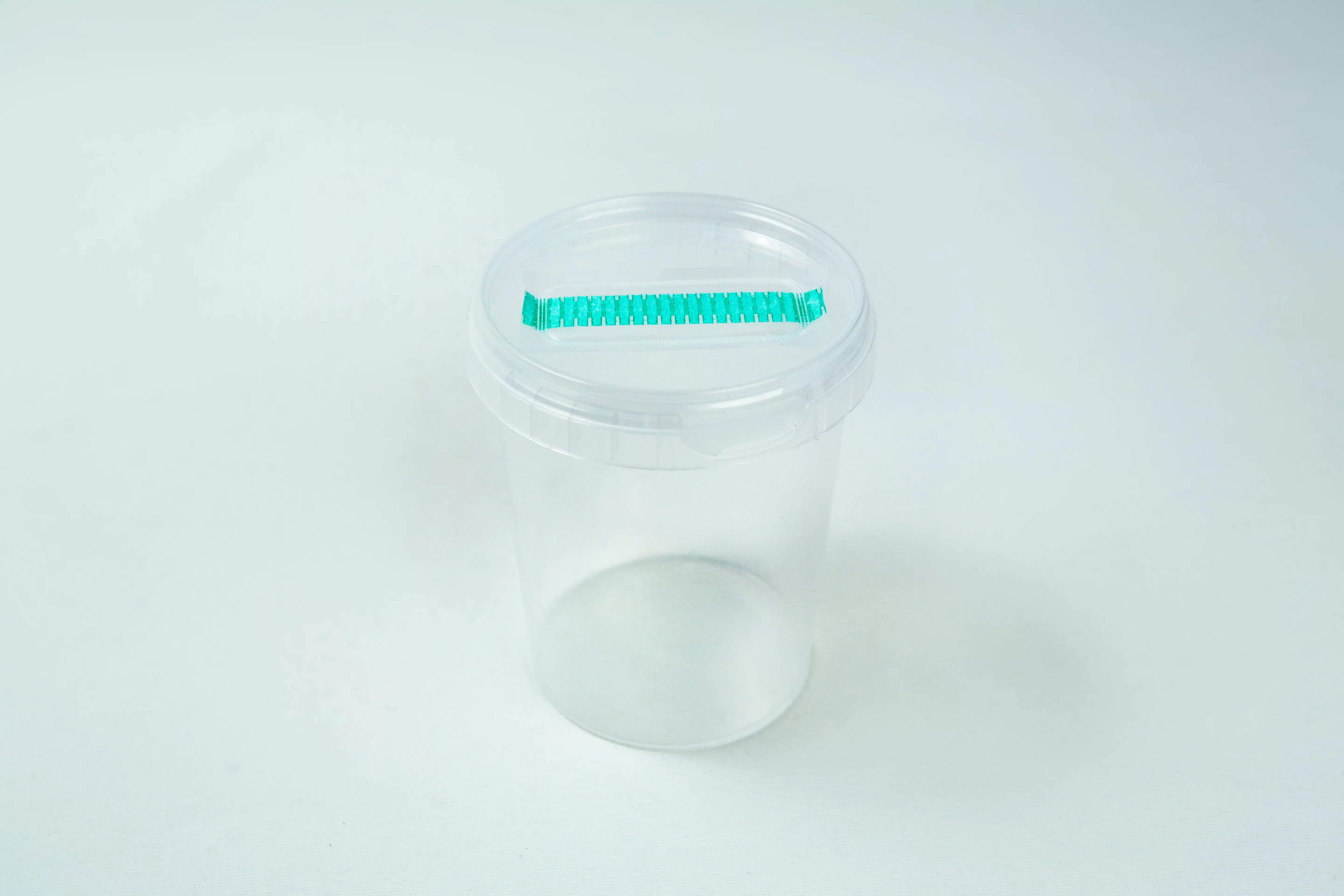 The Cordyceps militaris Mushroom Grow Kit is a clear plastic container with a transparent lid and a green object attached to the top for easy mushroom cultivation.