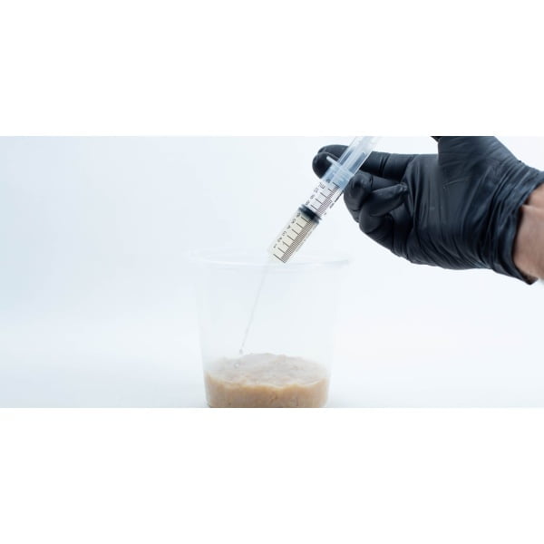 inoculating cordyceps in container