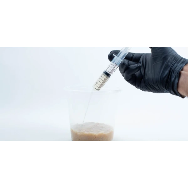 inoculating cordyceps in container