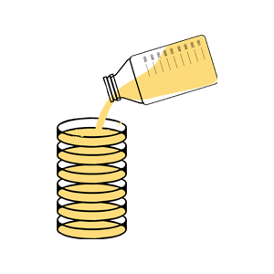 Culture Agar Plates
