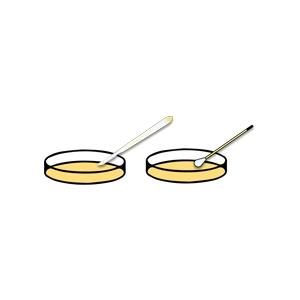 Make Agar Plates
