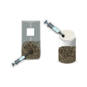 Two syringes injecting liquid into grain-filled containers, one a bag and one a jar, both with grey lids.