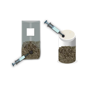 Make Grain Spawns