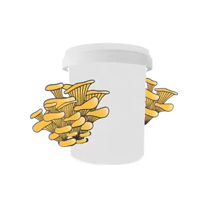 White container with illustrated yellow oyster mushrooms growing from its sides, on a plain background.