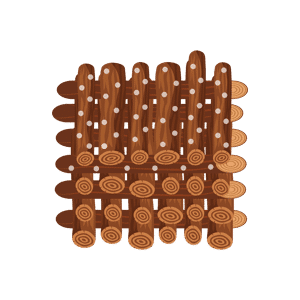 Mushroom on Logs
