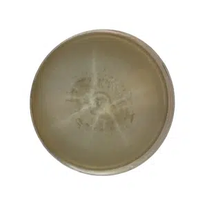 A round petri dish with beige bacterial or fungal growth spreading from the centre.