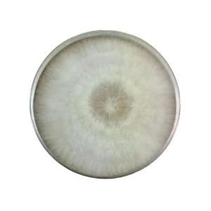 Colonised mushroom mycelium on agar plates Princess of Pearl