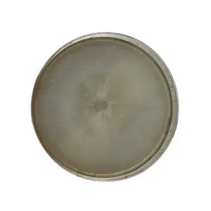 A round petri dish with a light grey, fuzzy mould colony growing in the centre.