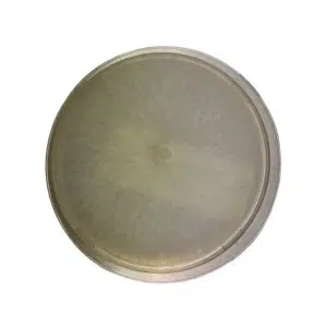 Round petri dish with white, fuzzy mould colony growing symmetrically on a clear agar surface.