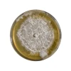 Colonised mushroom mycelium on agar plates in Species Coral Tooth