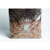 All in one Coco Coir+Vermiculite | organic rye | Millet | 1kg | 2kg Mushroom bag | Instruction - Image 4