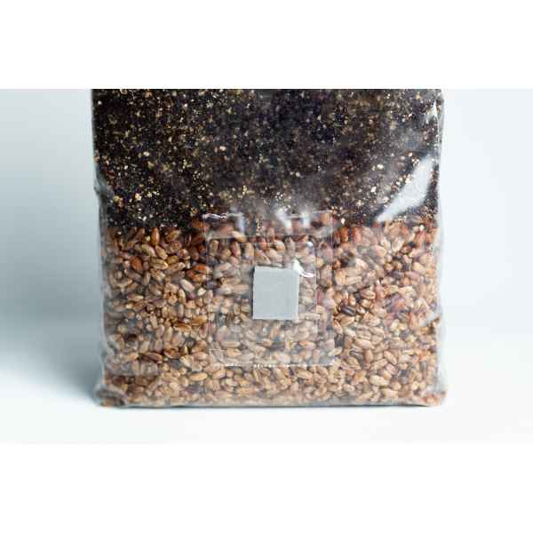 All in one Coco Coir+Vermiculite | organic rye | Millet | 1kg | 2kg Mushroom bag | Instruction - Image 4