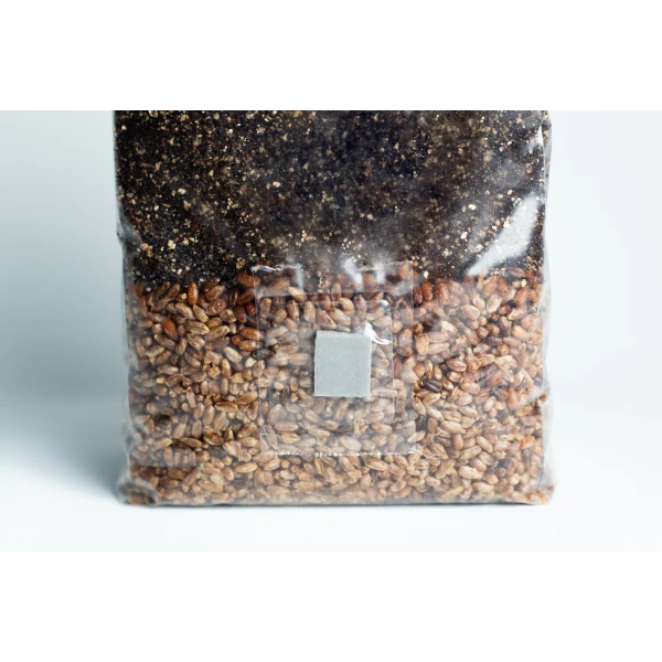 All in one Coco Coir+Vermiculite | organic rye | Millet | 1kg | 2kg Mushroom bag | Instruction - Image 4