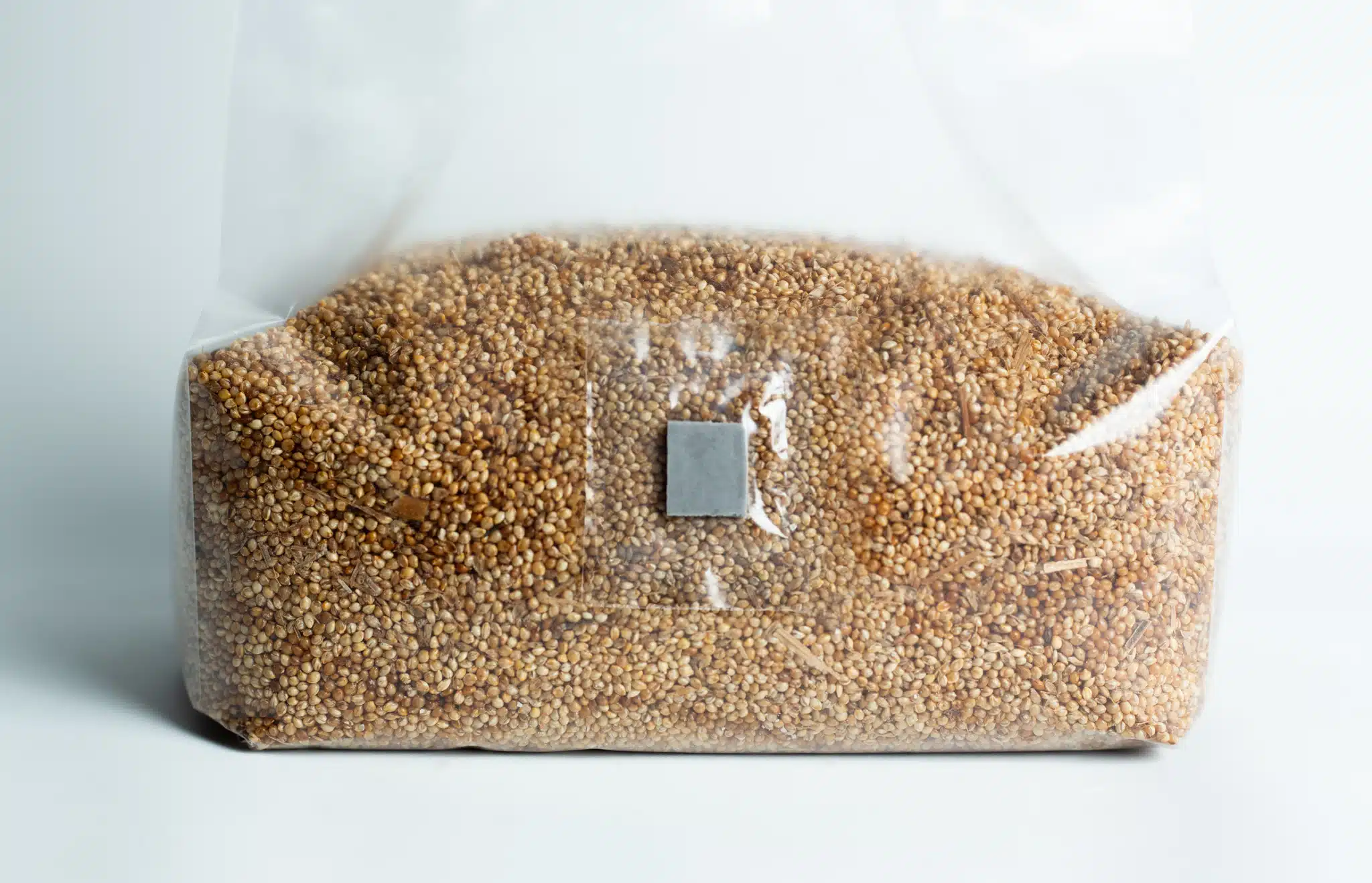 A clear plastic bag filled with quinoa grains, sealed and resting on a white surface.
