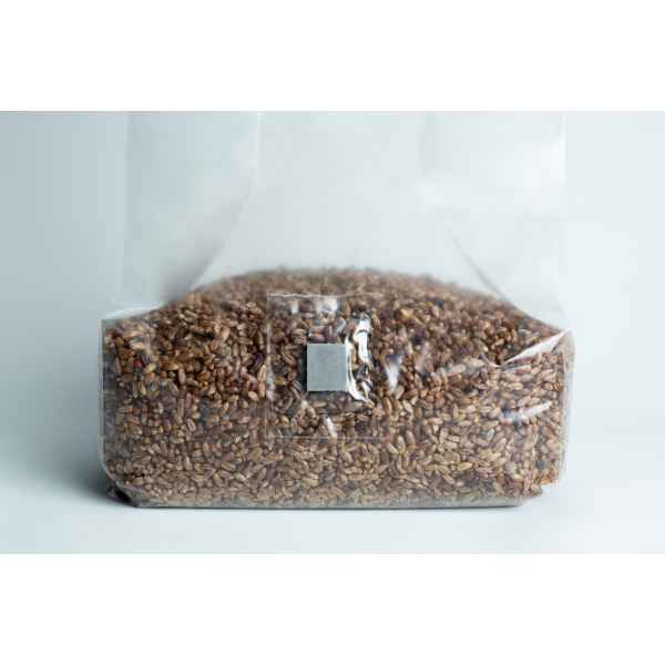 2kg -3T- Pre sterilized rye grains for mushroom w_inj port and air-filter