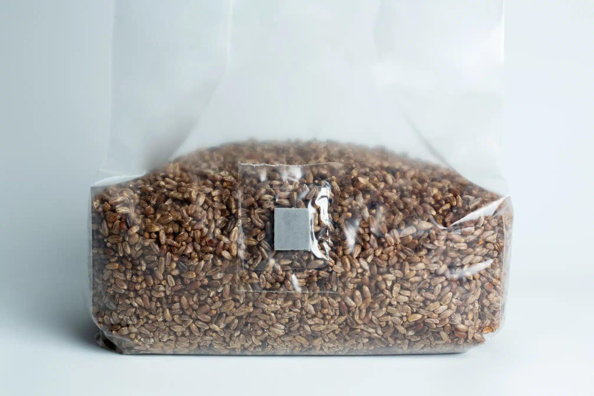 A sealed plastic bag filled with grains, viewed against a plain white background.