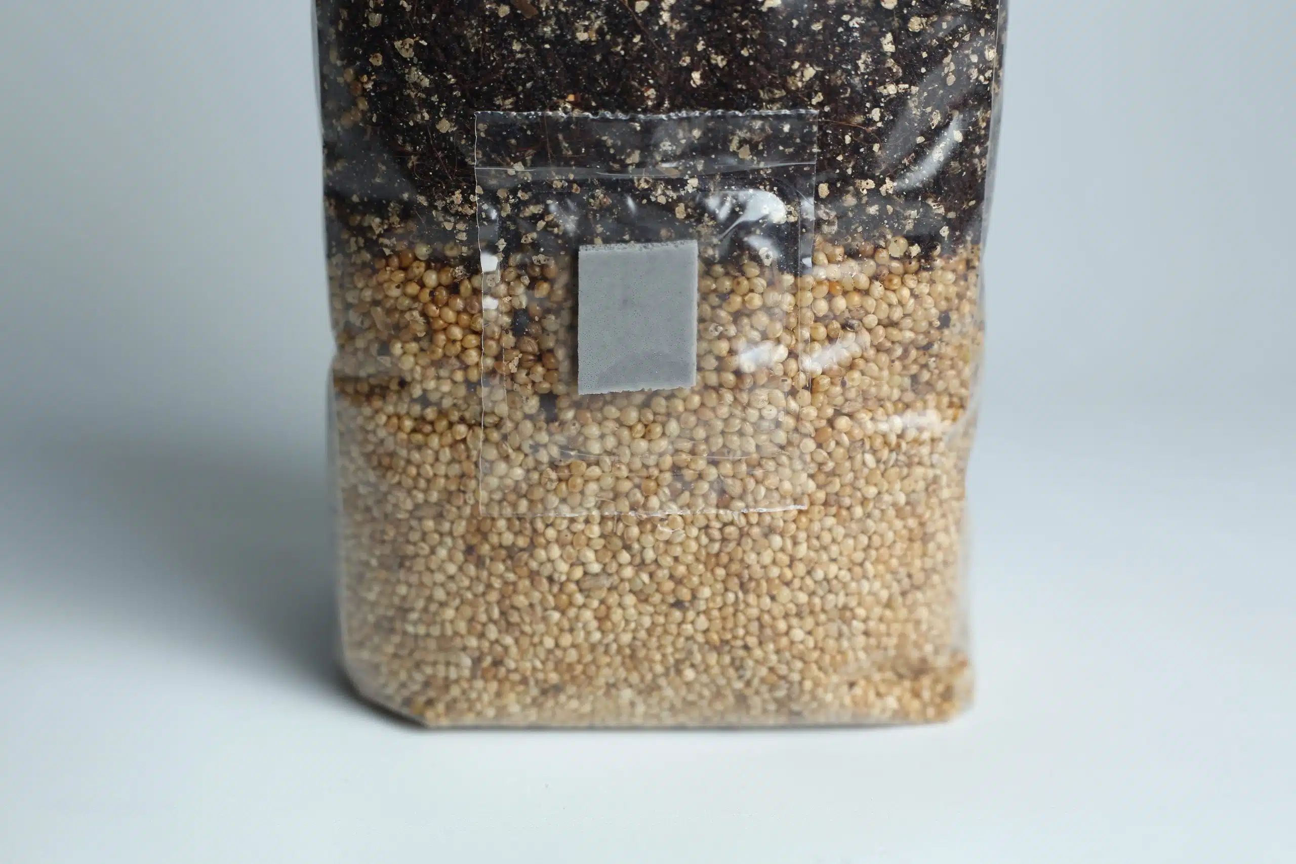 Manure Based All in One Mushroom Grow Bag |1kg 4 A plastic bag filled with white grains at the bottom and dark soil at the top.