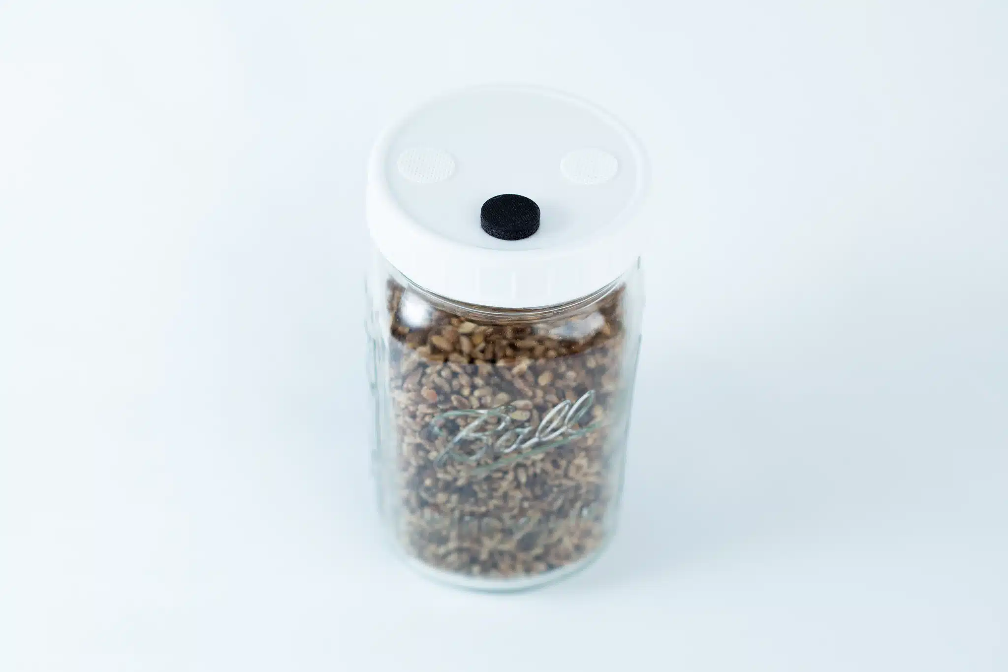 A 1L Grain Jars jar, pre-sterilised and filled with organic millet and rye seeds, comes in a reusable glass jar with a white lid, photographed against a simple light background.