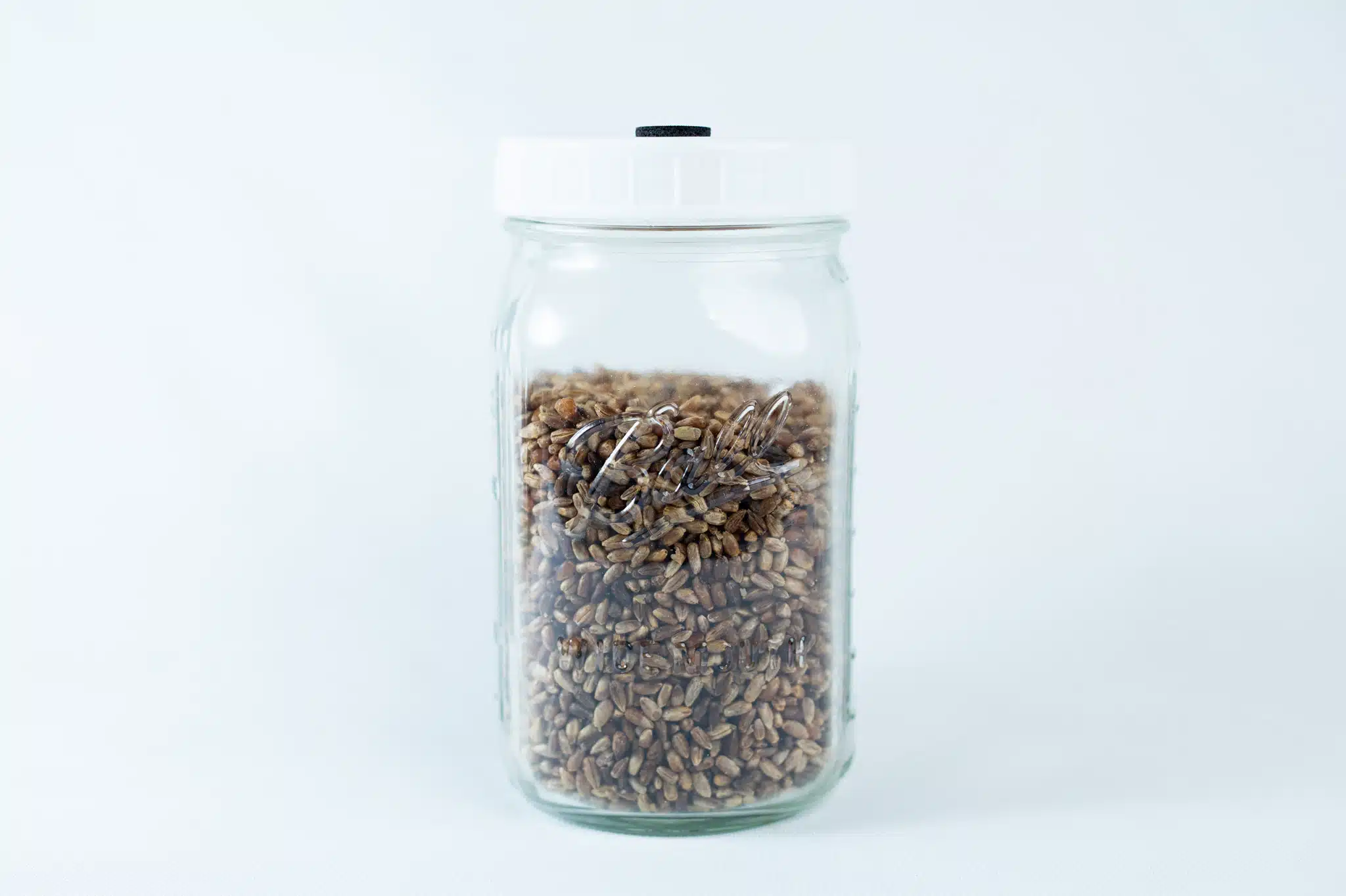 A clear 1L Ball grain jar with a white lid is filled with organic millet and rye, set against a plain white background. The pre-sterilised jar and lid are reusable.